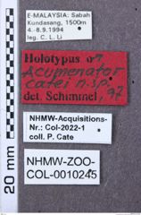 Etiketten zu Aliteus reichei (NHMW-ZOO-COL-0010245)